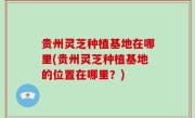 贵州灵芝种植基地在哪里(贵州灵芝种植基地的位置在哪里？)