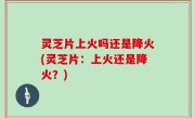 灵芝片上火吗还是降火(灵芝片：上火还是降火？)