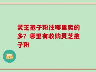 灵芝孢子粉往哪里卖的多？哪里有收购灵芝孢子粉