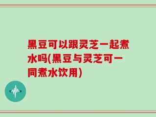 黑豆可以跟灵芝一起煮水吗(黑豆与灵芝可一同煮水饮用)