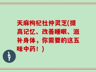 天麻枸杞杜仲灵芝(提高记忆、改善睡眠、滋补身体，你需要的这五味中药！)