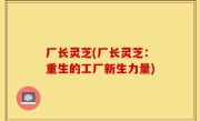厂长灵芝(厂长灵芝：重生的工厂新生力量)