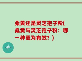 桑黄还是灵芝孢子粉(桑黄与灵芝孢子粉：哪一种更为有效？)