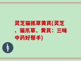 灵芝猫抓草黄芪(灵芝、猫爪草、黄芪：三味中药好帮手)