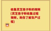 收集灵芝孢子粉的视频(灵芝孢子粉收集过程视频，助你了解生产过程)