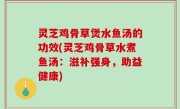 灵芝鸡骨草煲水鱼汤的功效(灵芝鸡骨草水煮鱼汤：滋补强身，助益健康)