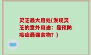 灵芝最大用处(发现灵芝的意外用途：是预防癌症最强食物？)