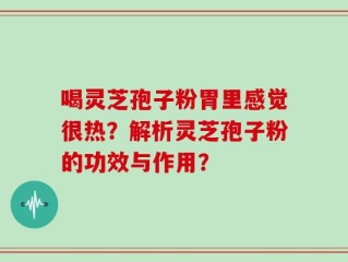 喝灵芝孢子粉胃里感觉很热？解析灵芝孢子粉的功效与作用？
