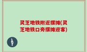 灵芝地铁附近摆摊(灵芝地铁口旁摆摊迎客)