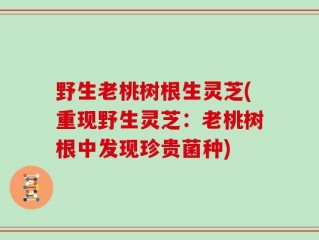 野生老桃树根生灵芝(重现野生灵芝：老桃树根中发现珍贵菌种)