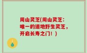 周山灵芝(周山灵芝：唯一的道地野生灵芝，开启长寿之门！)