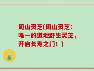 周山灵芝(周山灵芝：唯一的道地野生灵芝，开启长寿之门！)