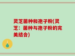 灵芝菌种和孢子粉(灵芝：菌种与孢子粉的完美结合)