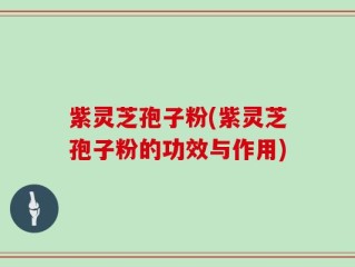 紫灵芝孢子粉(紫灵芝孢子粉的功效与作用)