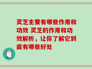 灵芝主要有哪些作用和功效 灵芝的作用和功效解析，让你了解它到底有哪些好处