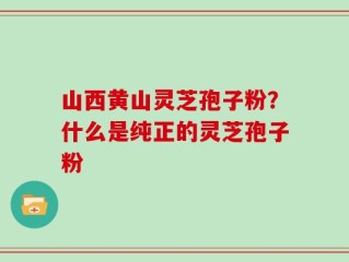 山西黄山灵芝孢子粉？什么是纯正的灵芝孢子粉