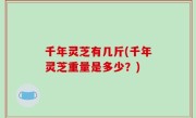 千年灵芝有几斤(千年灵芝重量是多少？)