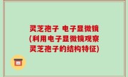 灵芝孢子 电子显微镜(利用电子显微镜观察灵芝孢子的结构特征)