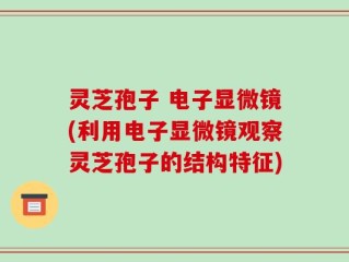 灵芝孢子 电子显微镜(利用电子显微镜观察灵芝孢子的结构特征)