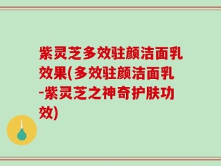 紫灵芝多效驻颜洁面乳效果(多效驻颜洁面乳-紫灵芝之神奇护肤功效)