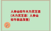 人参山稔牛大力灵芝酒(大力灵芝酒：人参山稔牛新品发售)