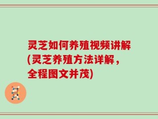 灵芝如何养殖视频讲解(灵芝养殖方法详解，全程图文并茂)