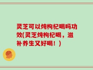 灵芝可以炖枸杞喝吗功效(灵芝炖枸杞喝，滋补养生又好喝！)