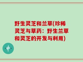 野生灵芝和兰草(珍稀灵芝与草药：野生兰草和灵芝的开发与利用)