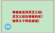 哪里能买到灵芝三萜(灵芝三萜在哪里购买？推荐几个购买渠道)