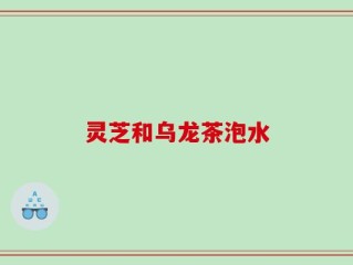 灵芝和乌龙茶泡水