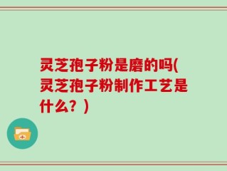 灵芝孢子粉是磨的吗(灵芝孢子粉制作工艺是什么？)