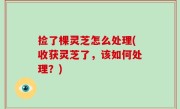 捡了棵灵芝怎么处理(收获灵芝了，该如何处理？)