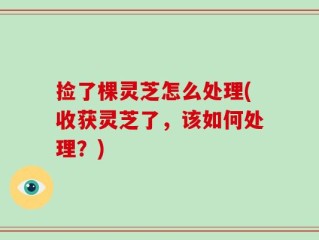 捡了棵灵芝怎么处理(收获灵芝了，该如何处理？)