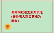 秦岭网红老太太邓灵芝(秦岭老人邓灵芝成为网红)