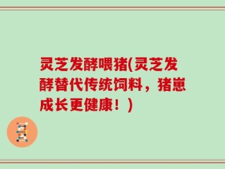 灵芝发酵喂猪(灵芝发酵替代传统饲料，猪崽成长更健康！)