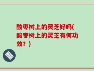 酸枣树上的灵芝好吗(酸枣树上的灵芝有何功效？)