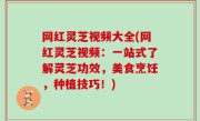 网红灵芝视频大全(网红灵芝视频：一站式了解灵芝功效，美食烹饪，种植技巧！)
