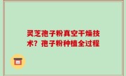 灵芝孢子粉真空干燥技术？孢子粉种植全过程