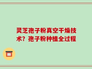 灵芝孢子粉真空干燥技术？孢子粉种植全过程