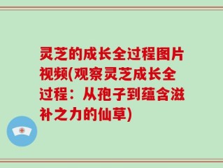 灵芝的成长全过程图片视频(观察灵芝成长全过程：从孢子到蕴含滋补之力的仙草)
