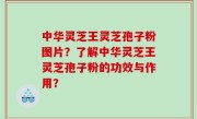 中华灵芝王灵芝孢子粉图片？了解中华灵芝王灵芝孢子粉的功效与作用？