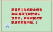 黑灵芝生发吗能吃吗有毒吗(黑灵芝能促进头发生长，食用前需注意剂量和质量问题。)
