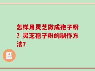 怎样用灵芝做成孢子粉？灵芝孢子粉的制作方法？
