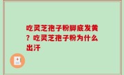 吃灵芝孢子粉脚底发黄？吃灵芝孢子粉为什么出汗