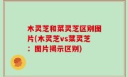 木灵芝和菜灵芝区别图片(木灵芝vs菜灵芝：图片揭示区别)