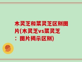 木灵芝和菜灵芝区别图片(木灵芝vs菜灵芝：图片揭示区别)
