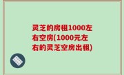 灵芝的房租1000左右空房(1000元左右的灵芝空房出租)