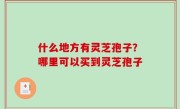 什么地方有灵芝孢子？哪里可以买到灵芝孢子