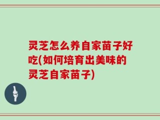 灵芝怎么养自家苗子好吃(如何培育出美味的灵芝自家苗子)