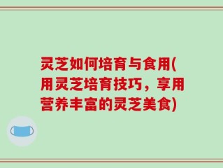 灵芝如何培育与食用(用灵芝培育技巧，享用营养丰富的灵芝美食)
